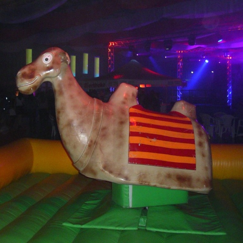 Kamelrodeo - Bullriding Variante  – 2