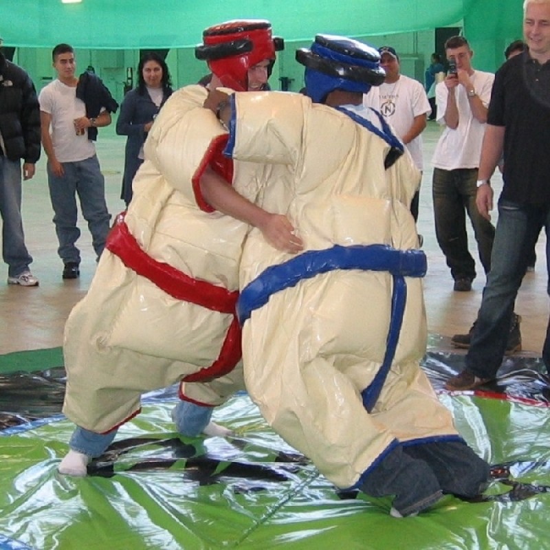 Sumoringen - Sumowrestling  