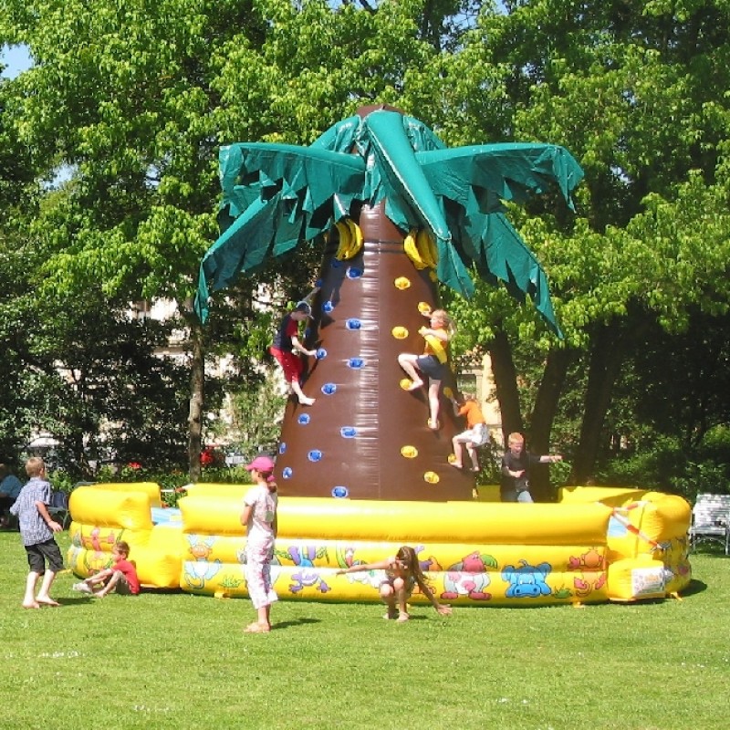 Kletterberg / Kletterpalme - NEUARTIGES SPIELKONZEPT  – 2