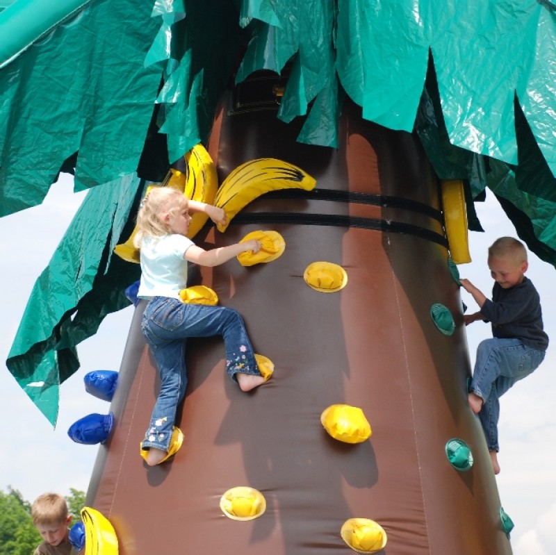 Kletterberg / Kletterpalme - NEUARTIGES SPIELKONZEPT  – 3