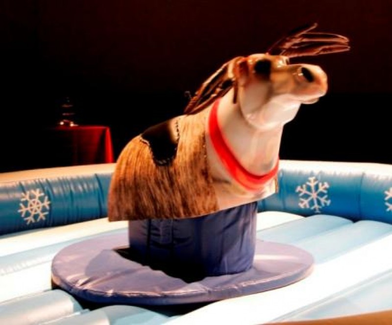 Rentier Rodeo / Bullriding / Rodeo / Bull Riding / Bulle 