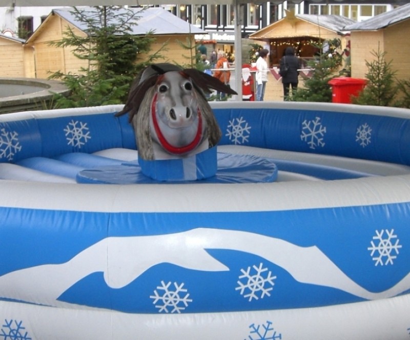 Rentier Rodeo / Bullriding / Rodeo / Bull Riding / Bulle  – 3
