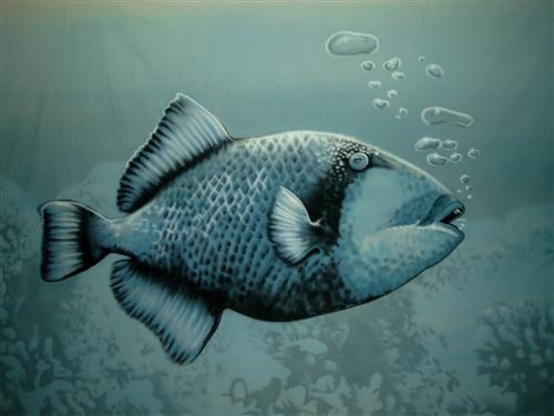 Fisch Unterwasser Bühnenbild , Wasser Kulisse , Maritime Dekoration