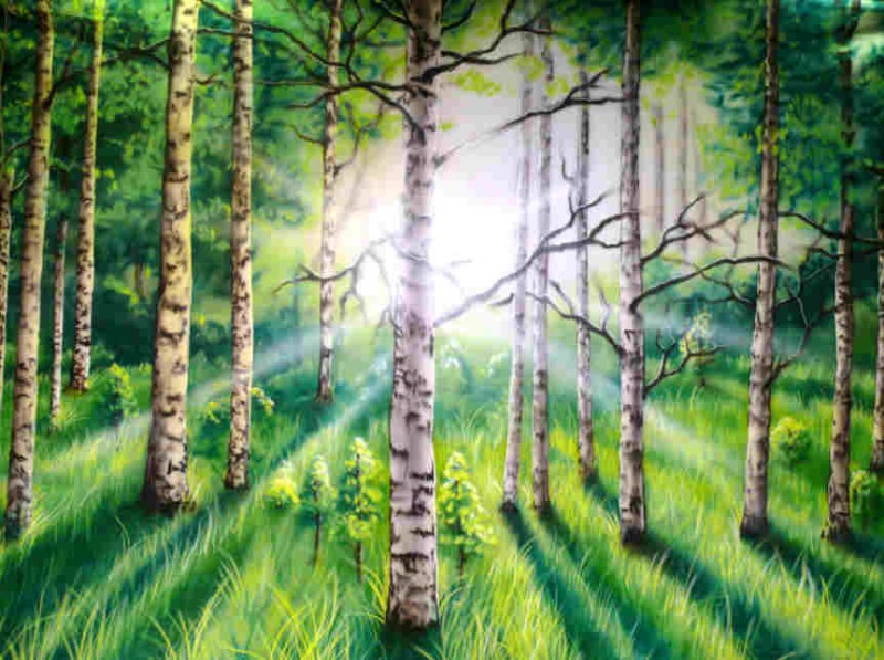 Bühnenbild Wald , Waldkulisse , Waldlandschaft 