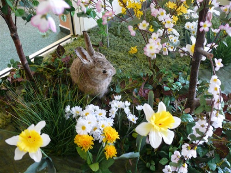 Frühlingslandschaft Künstlich Frühlingsdekoration , Oster Dekoration , Frühlingsblumen – 2