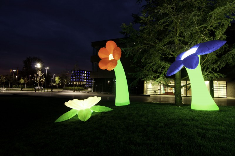 Airflower / Riesenblume / Deko Blume / aufblasbare Blume – 3