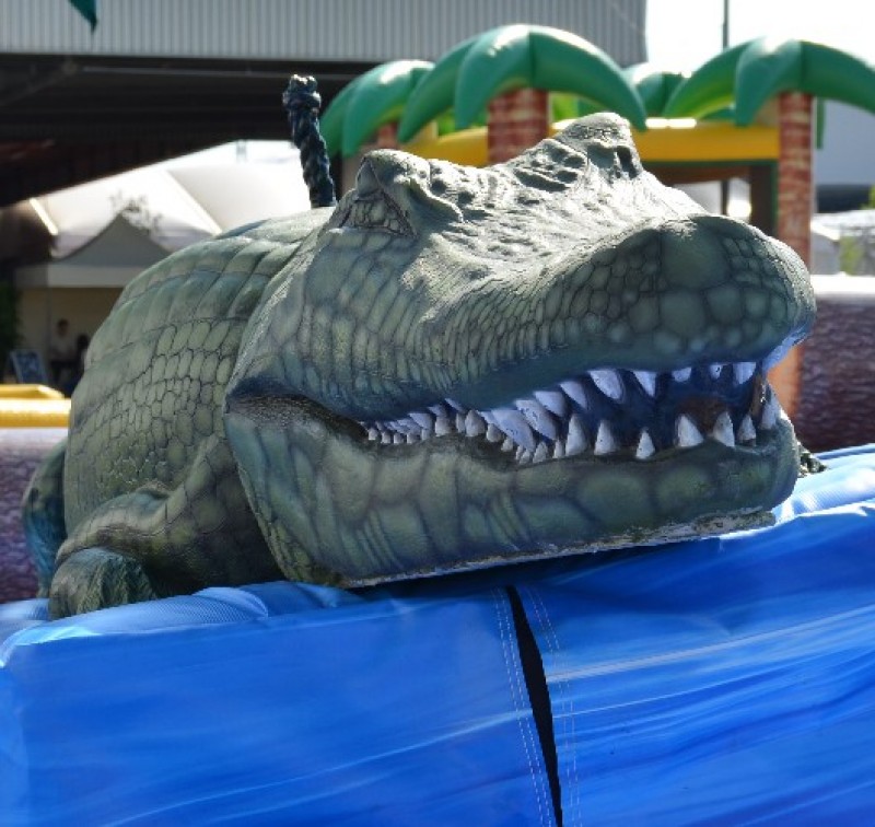 Krokodil - Alligator Rodeo wie Bullriding 