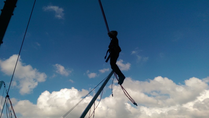 4er Bungee Trampolin Anlage SKYLINE JUMPER inkl. 2x Betreuung, Lieferung, Auf-und Abbau – Thumbnail 6