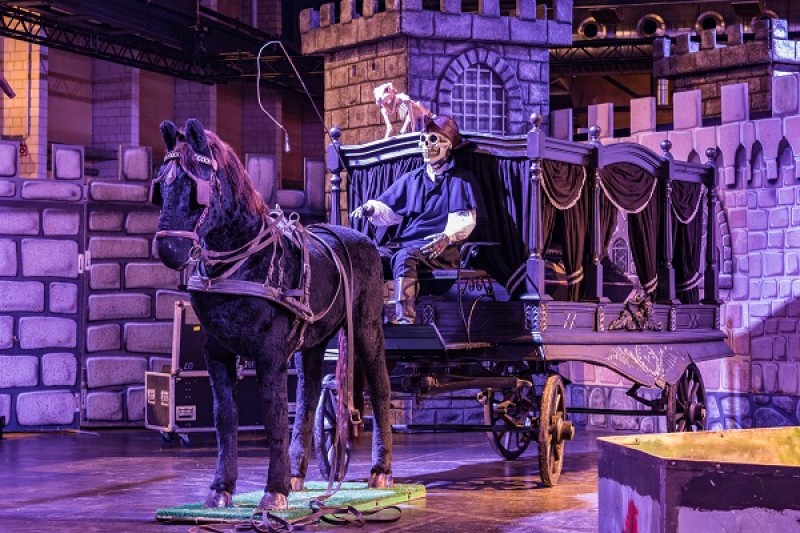 Bestattungskutsche, Leichenwagen, Beerdigungs Kutsche, Halloween Dekoration, historische Kutsche – 2