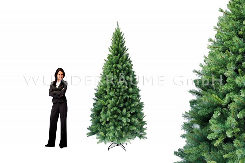 Nadelbaum XL