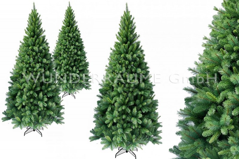 Nadelbaum XL – 2