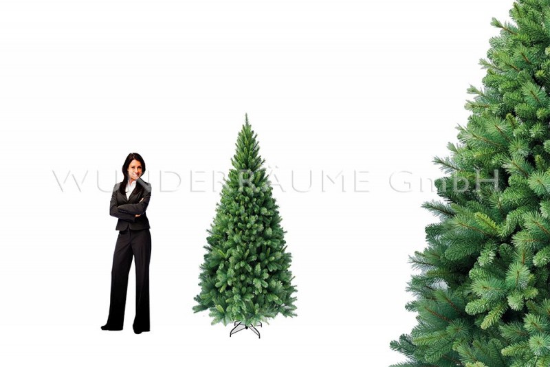 Nadelbaum L