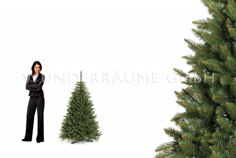 Nadelbaum Fichte, S