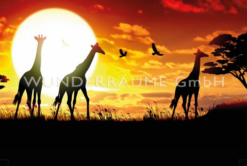 Leinwanddruck "Giraffen"