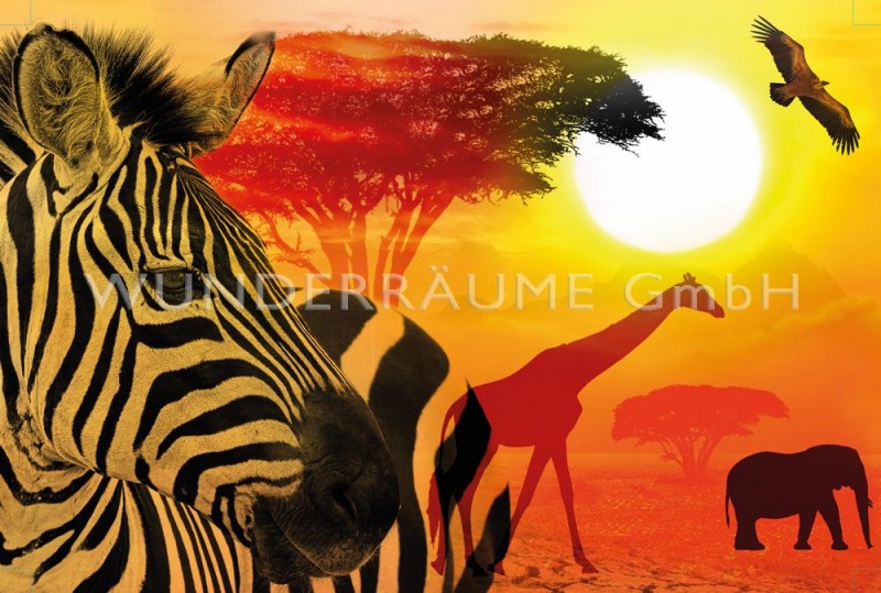 Leinwanddruck "Tiere  Afrika"