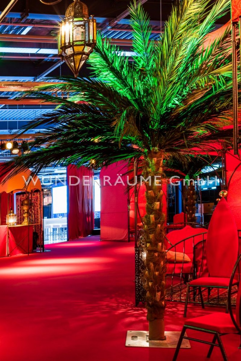 Palme XL – 5