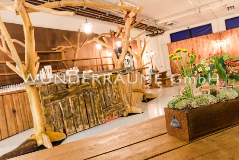 Wald-Bar – Thumbnail 6