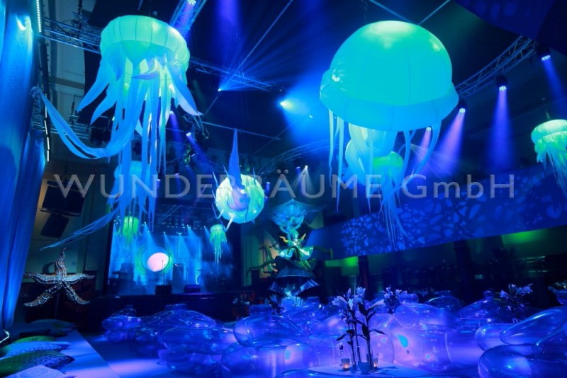 Seestern – Thumbnail 6