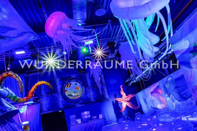 Seestern – Thumbnail 8