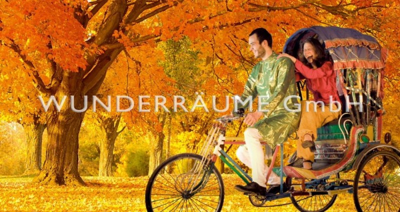 Rikscha, Original und fahrtüchtig! – Thumbnail 6