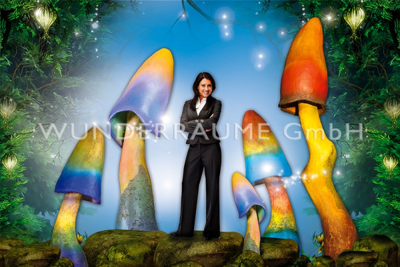 Pilze groß, Pilzset Regenbogenpilz (5 Pilze)