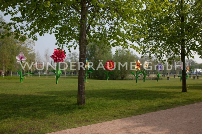 10 Riesenblumen bis 4 m Höhe – Thumbnail 8