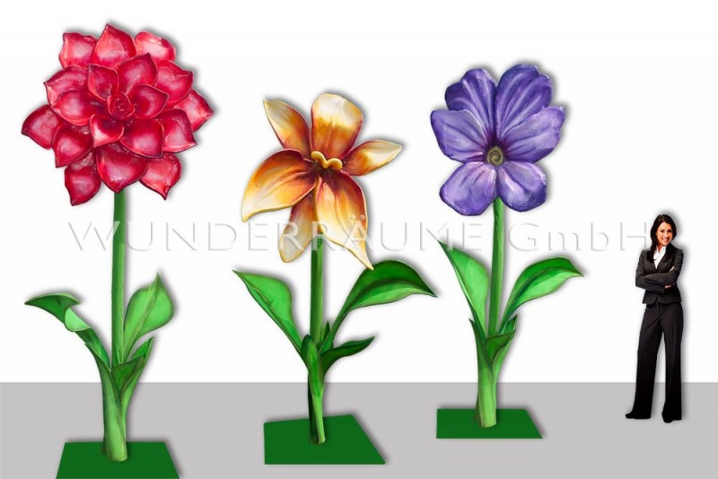10 Riesenblumen bis 4 m Höhe