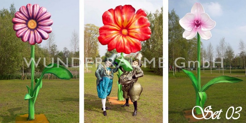 10 Riesenblumen bis 4 m Höhe – Thumbnail 6