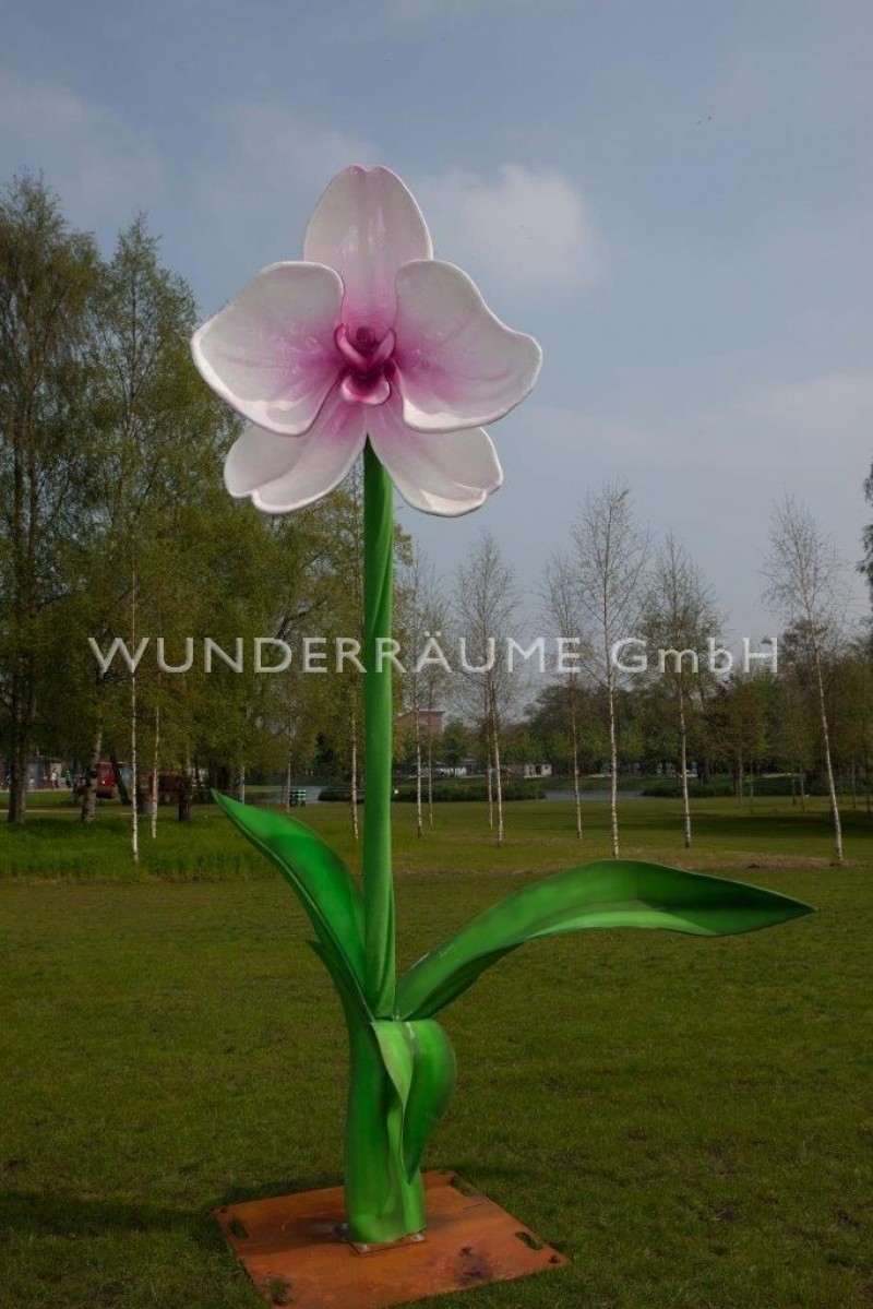3 Riesenblumen bis 4 m / SET 3 – Thumbnail 8