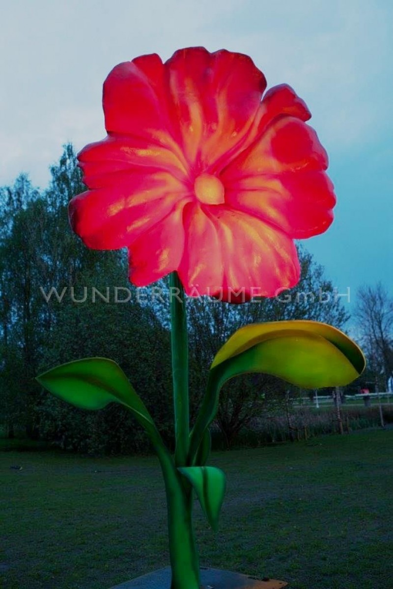 3 Riesenblumen bis 4 m / SET 3 – Thumbnail 6