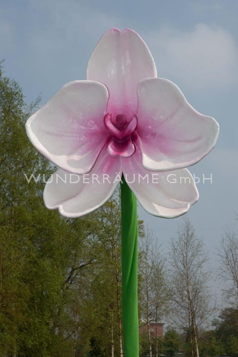 3 Riesenblumen bis 4 m / SET 3 – Thumbnail 7
