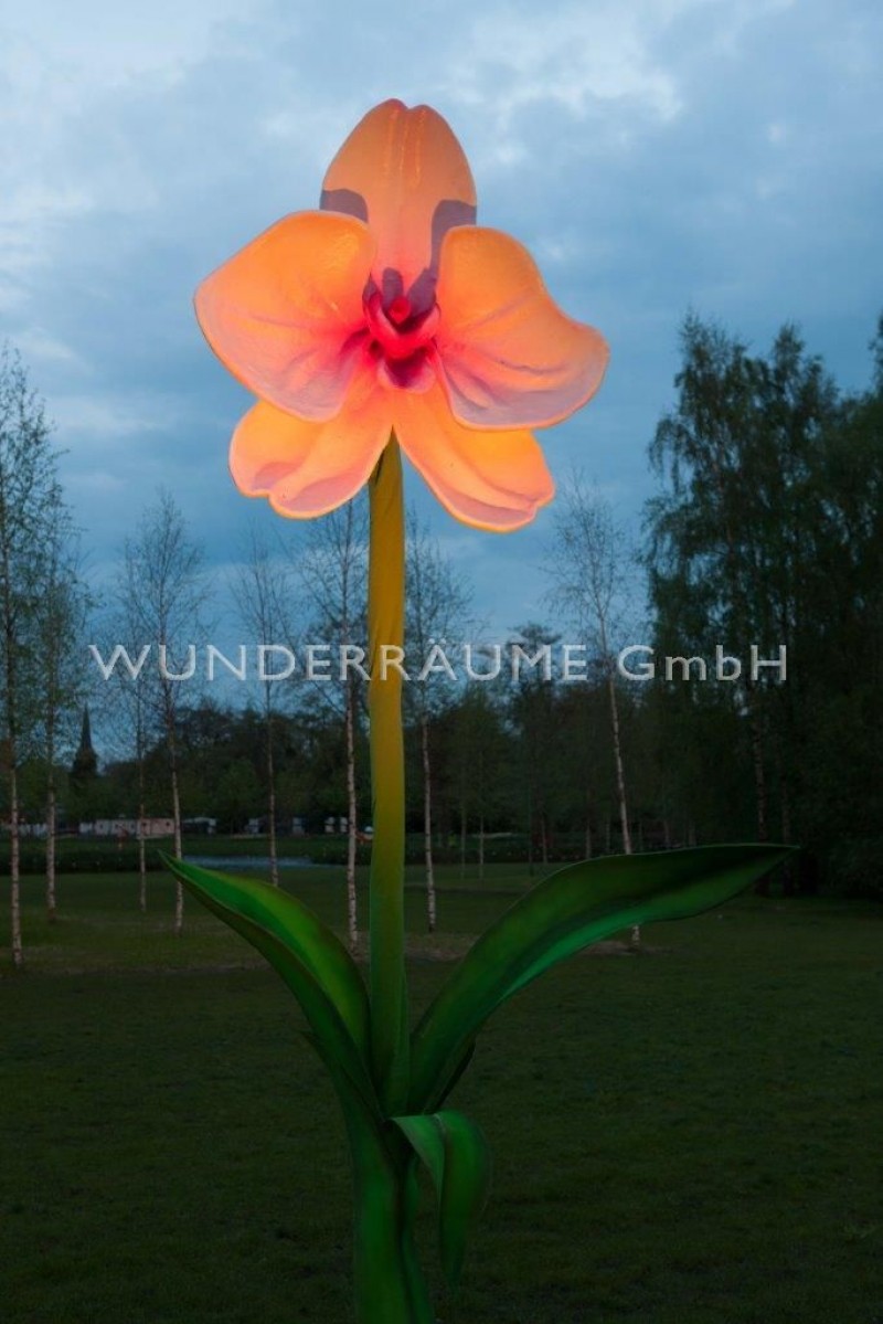 3 Riesenblumen bis 4 m / SET 3 – Thumbnail 9