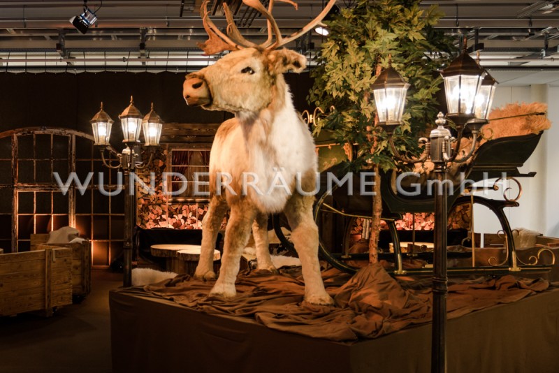 Größter dt. Winter- &amp; Weihnachtsfundus XXL – 4