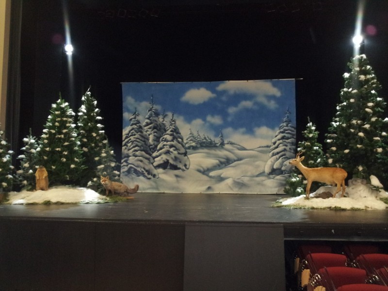 Waldlandschaft mit ausgestopften Tieren  - mit und ohne Schnee , Winterlandschaft , Winterdekoration – 2