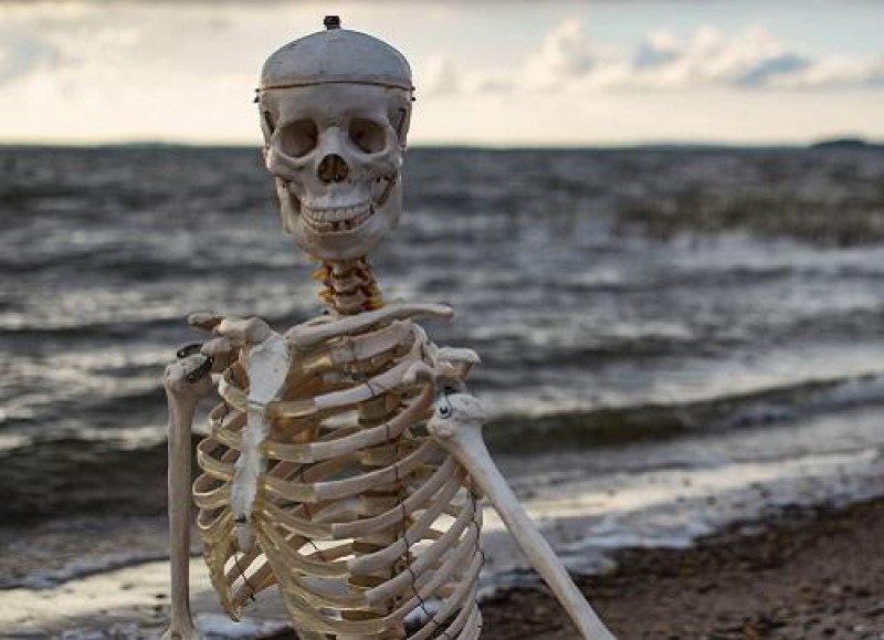 Skelett , Piraten Dekoration , Halloween Dekoration