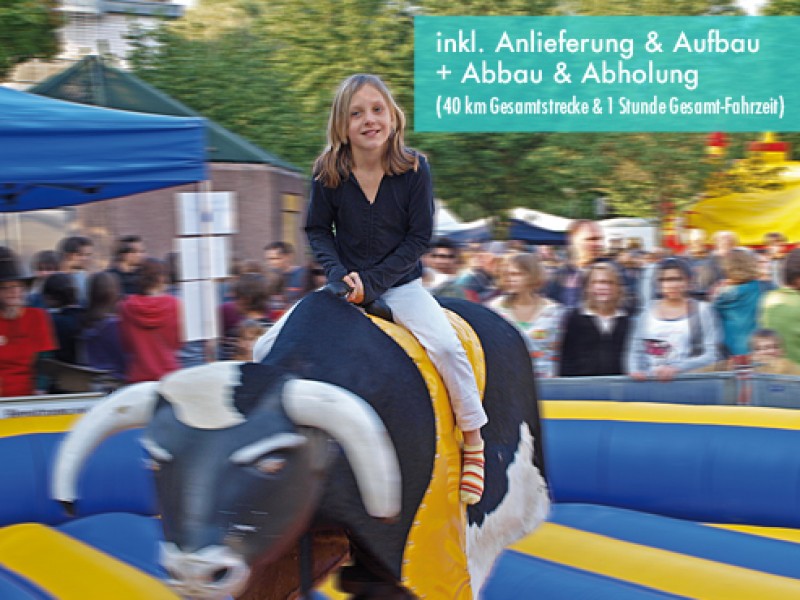 Bullriding / Rodeo