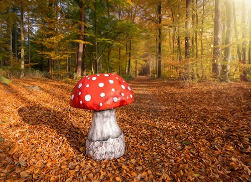 Riesen Pilze , Pilz , Herbstdekoration, Wonderland – 5