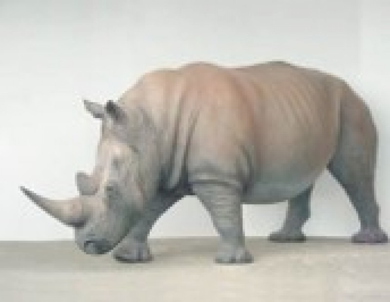 Nashorn Figur