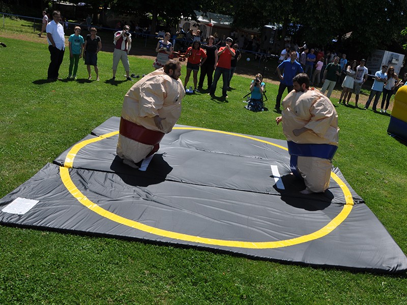 Sumo Wrestling / Sumo Ringen / Sumo Fatsuit – 3