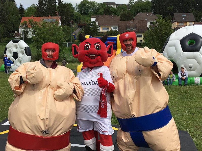 Sumo Wrestling / Sumo Ringen / Sumo Fatsuit – Thumbnail 6