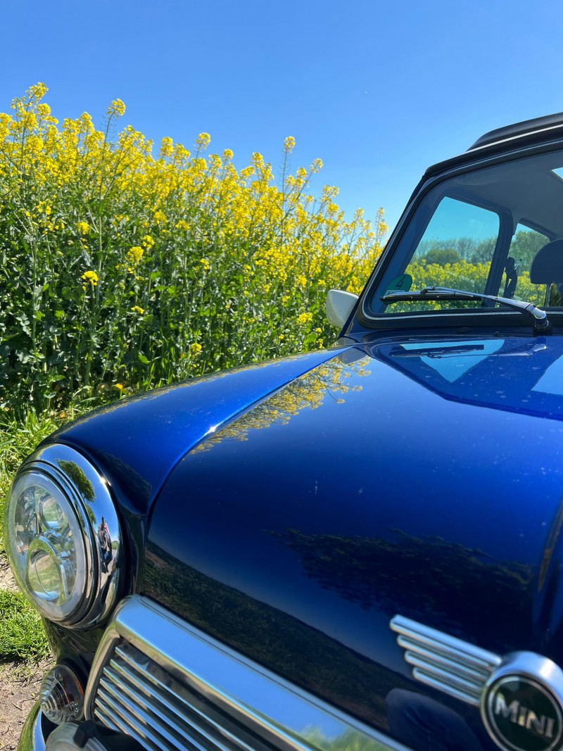 Alter Classic Mini Cooper, Rover Original, Hochzeitsauto, zum selberfahren, mieten, ohne Chauffeur! – Thumbnail 12