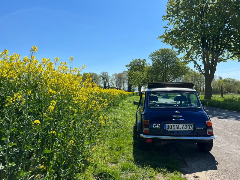Alter Classic Mini Cooper, Rover Original, Hochzeitsauto, zum selberfahren, mieten, ohne Chauffeur! – Thumbnail 8