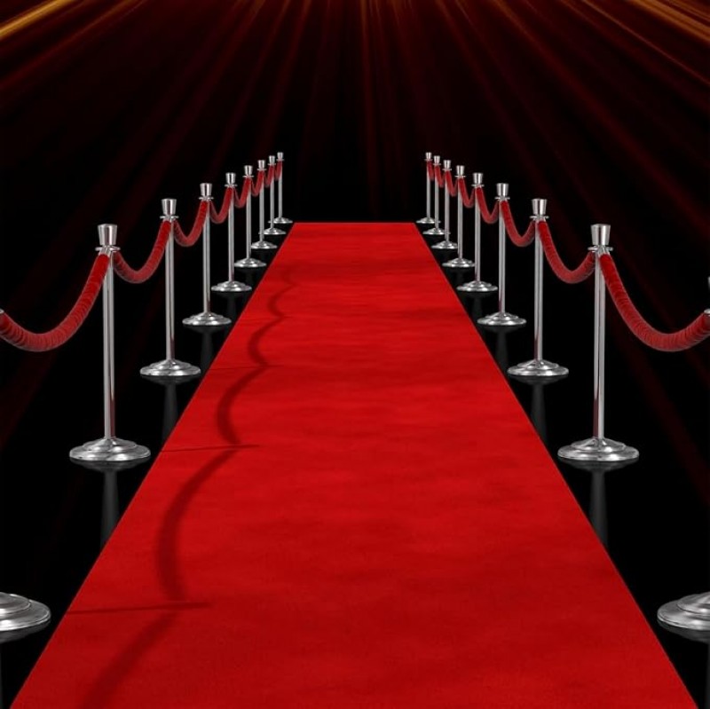Roter Teppich 10 x 1 m VIP Empfang Läufer Empfangsteppich Red Carpet Hochzeit Event Teppich Outdoor 