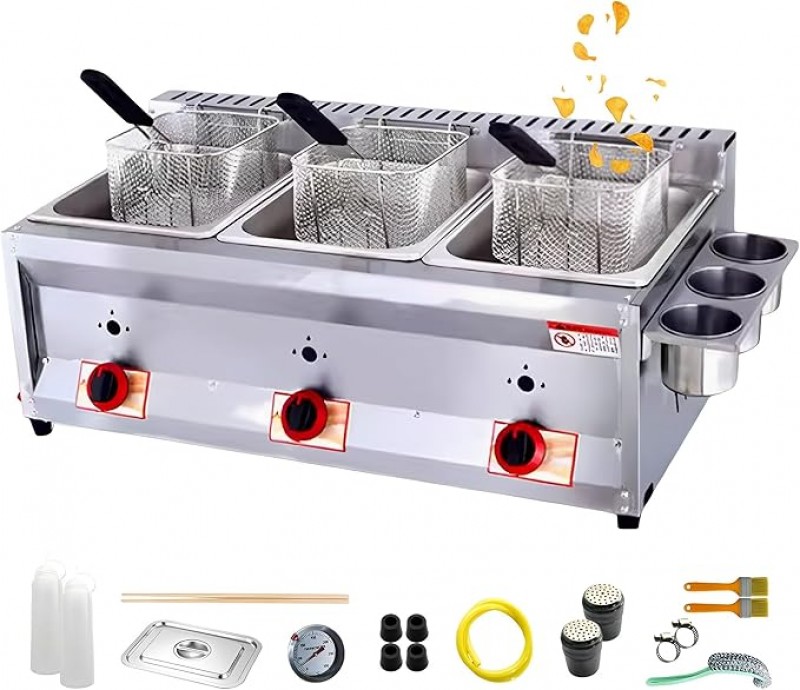 Gasfritteuse Fritteuse gewerblich 2 Tanks 10 l x 2/3 Korb Deckel Edelstahl Propan große Kapazität