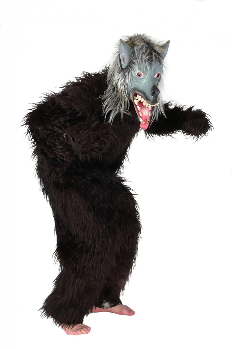 Affe, Gorilla, Bär, Wolf – 3