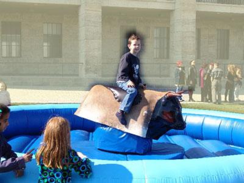 Bullriding – 2