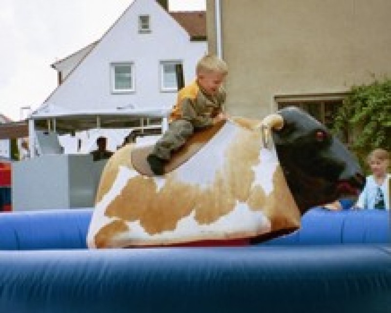 Bullriding – 3
