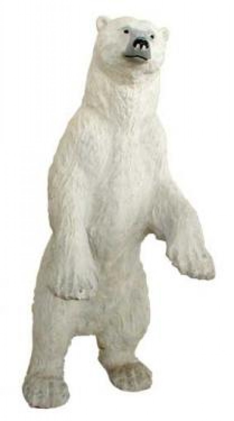 Eisbären,Eis,Schnee,Winter,  Tier,Bär,Polareisbär