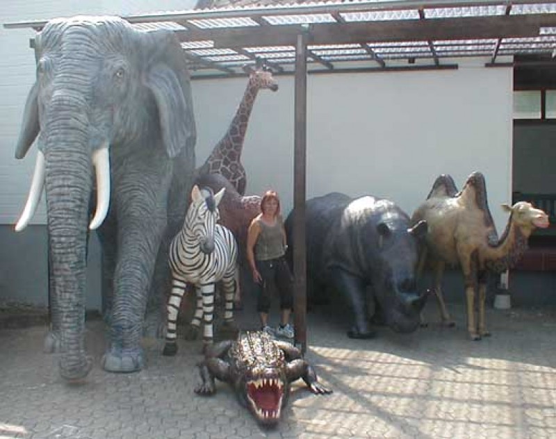 Elefant, Afrika,Tier,Zoo,Reservat – 3