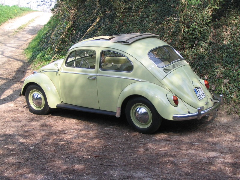 VW Käfer mit Faltdach, Oldtimer - Anlieferung  gegen Aufpreis! – 3